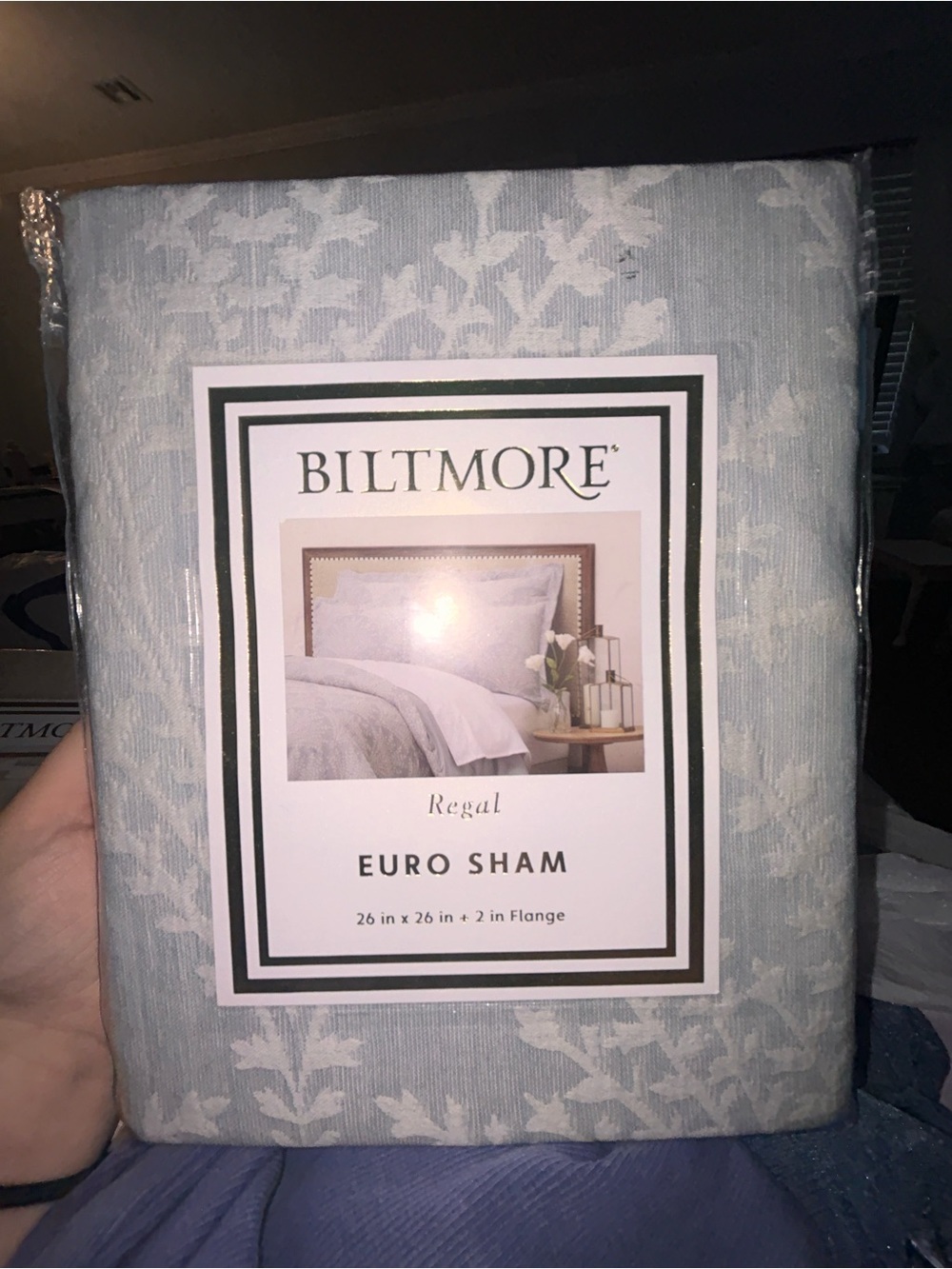 Blitmore Regal Euro Sham in Light Blue